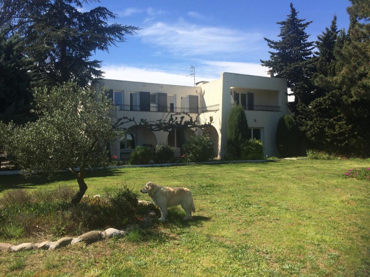 Chambre D'Hotes Villa Cote Vermeille Argelès-sur-Mer Εξωτερικό φωτογραφία