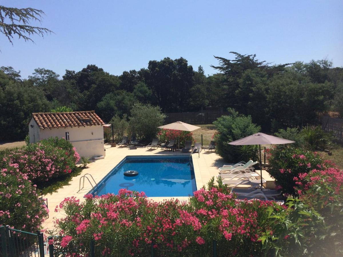 Chambre D'Hotes Villa Cote Vermeille Argelès-sur-Mer Εξωτερικό φωτογραφία